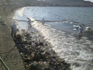 UZMAR, Yeni Foça'da kıyı temizliği yaptı