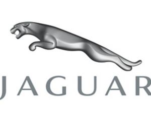 Tata, Jaguar markasını Çin'e taşıyor