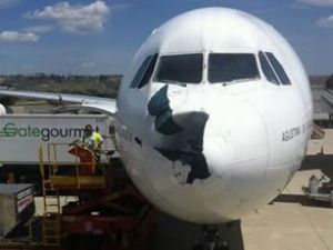 Iberia uçağı havadayken akbabaya çarptı