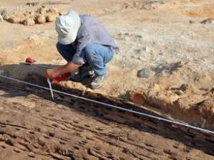 Mısır'da 5 bin yıllık firavun teknesi bulundu