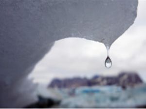 Kuzey Buz Denizi'nde rekor erime