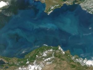 Düzgüneş: Karadeniz'de tehlike çok büyük