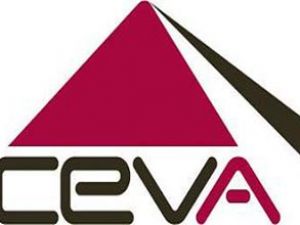 CEVA uluslararası taşımacılıkta da iddialı