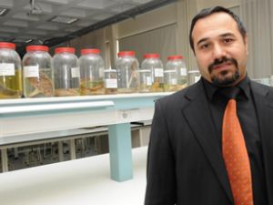 Muğla'da su ürünlerini sevdirecek müze