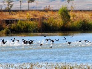 Van turizmine 'çözüm süreci' dopingi