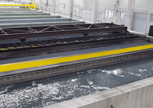Kataforez Nedir