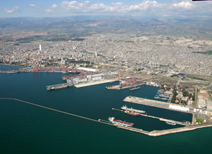 2015 "liman" senesi olacak