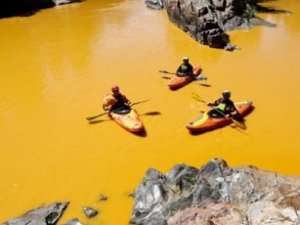 ABD'de çevreciler nehre zehir akıttı