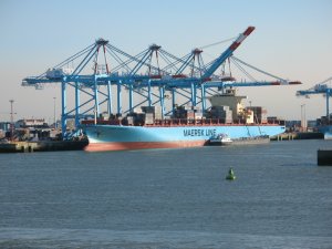 Belçika, Brugge Limanı'ndaki konteyner alanını büyütüyor