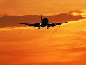 Hindistan uçağı fare yüzünden havalimanına geri döndü