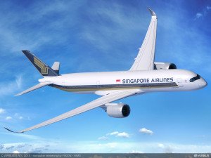 Singapur Havayolları’na ait yolcu uçağına kuş çarptı