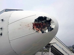 İnişte kuşa çarpan uçağın radomu çöktü