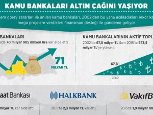 Kamu bankaları altın çağını yaşıyor