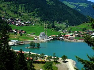 Çevre kirliliği Karadeniz’i bitiriyor