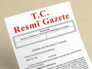 Türkiye Varlık Fonu Yönetimi AŞ'nin çalışma esasları belirlendi