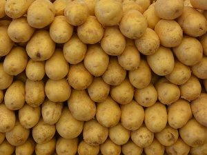Patates sektör temsilcilerini sevindirdi