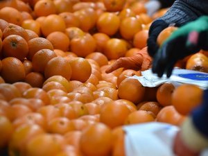 Rusya'ya en çok "mandarin" ihraç edildi