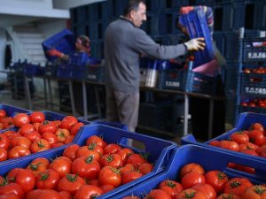 Yaş meyve sebze sektöründe gözler Rusya'ya çevrildi