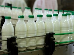 İçme sütü üretimi yüzde 3,8 arttı