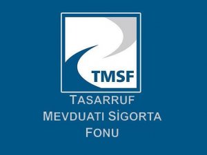 TMSF 9 medya kuruluşunun mallarını satışa çıkardı