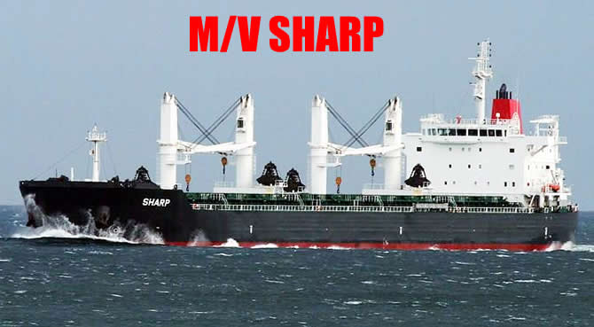 sharp_buyuk-001.jpg